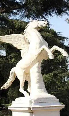Play Pegasus Wallpaper