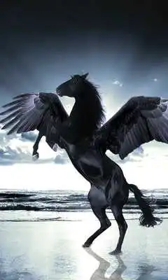 Play Pegasus Wallpaper