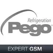 Free play online Pego Expert Gsm APK