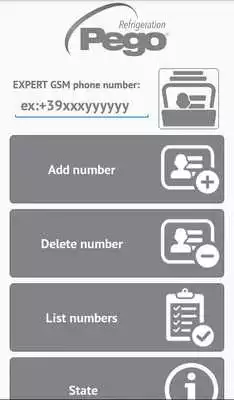Play Pego Expert Gsm