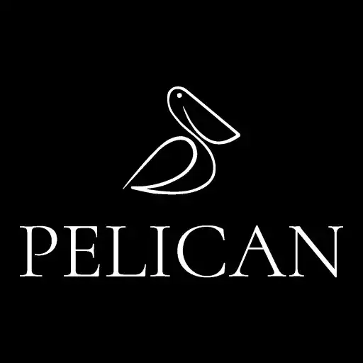 Play Pelican 51 APK