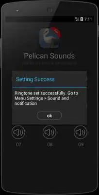 Play Pelican Bird (Animal) Sounds