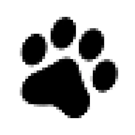 Play Pelos y Patas APK
