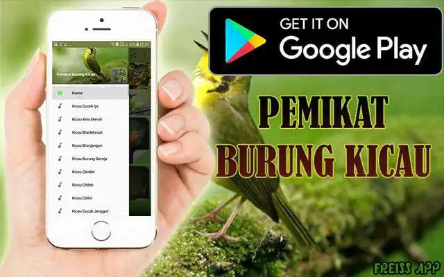 Play Pemikat Burung Kicau