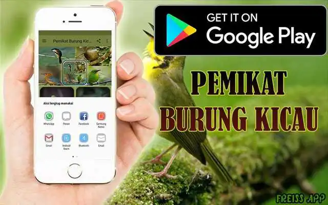 Play Pemikat Burung Kicau