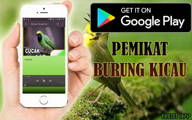 Play Pemikat Burung Kicau