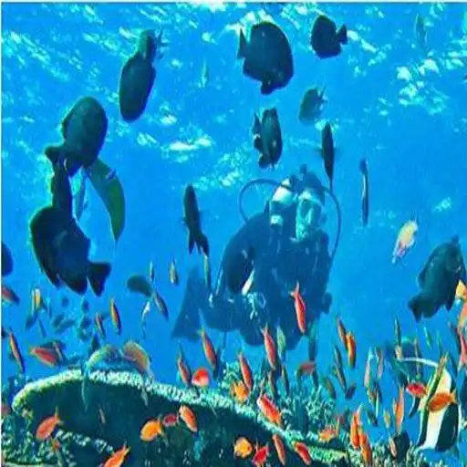 Play Pendidikan Geografi Materi Biosfer APK