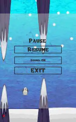 Play Penguin Can Fly Play Penguin Can Fly