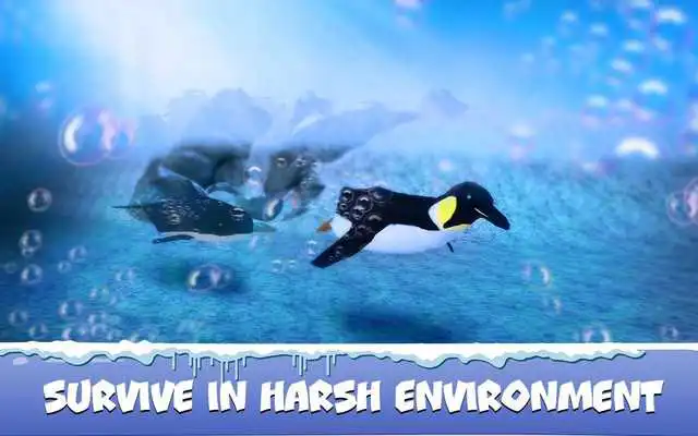 Play Penguin Family: Polar Bird Survival Simulator