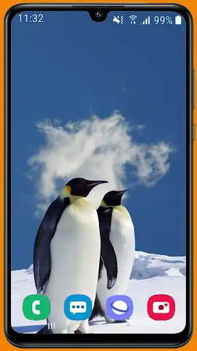 Play Penguin HD Wallpaper  and enjoy Penguin HD Wallpaper with UptoPlay