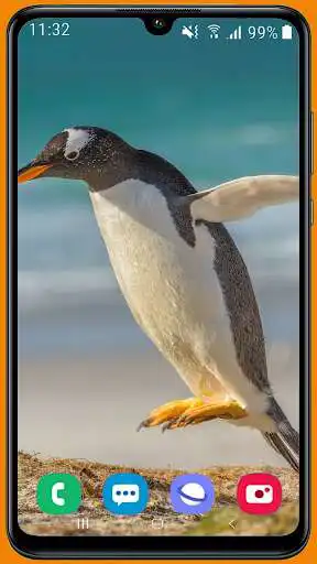 Play Penguin HD Wallpaper as an online game Penguin HD Wallpaper with UptoPlay