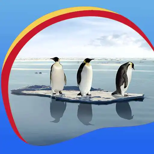 Free play online Penguin Live Wallpapers  APK