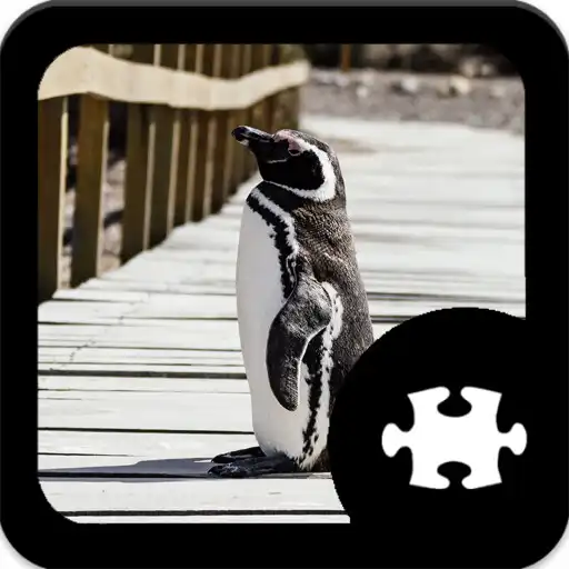 Free play online Penguin Puzzle APK