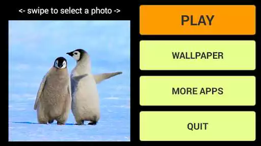 Play Penguins Jigsaw Puzzles