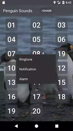 Play Penguin Sounds as an online game Penguin Sounds with UptoPlay