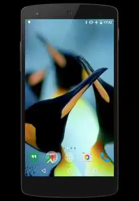 Play Penguins Video Live Wallpaper