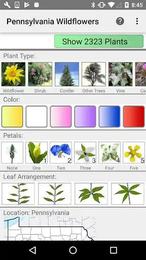 Play Pennsylvania Wildflowers  and enjoy Pennsylvania Wildflowers with UptoPlay