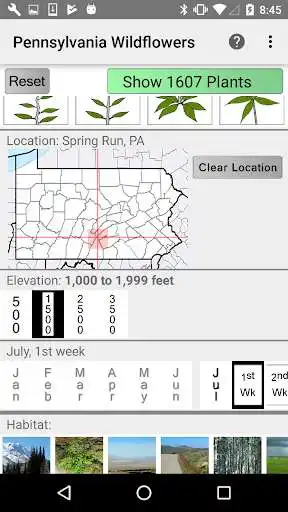 Play Pennsylvania Wildflowers as an online game Pennsylvania Wildflowers with UptoPlay