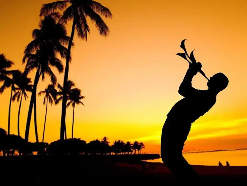 Play People Wallpaper  and enjoy People Wallpaper with UptoPlay