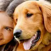Free play online People with Animals Jigsaw Puzzles Game APK
