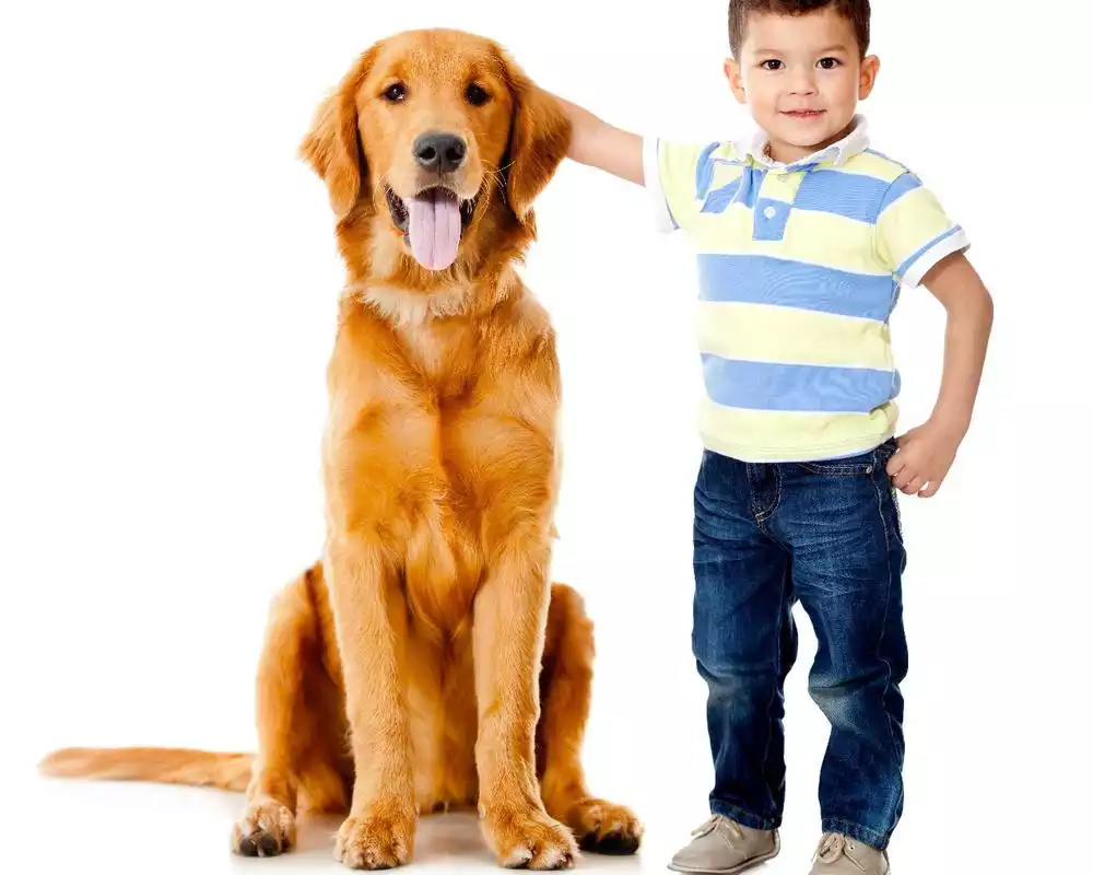 Play People with Animals Jigsaw Puzzles Game