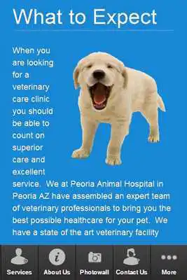 Play Peoria Animal Hospital