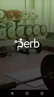 Play Perb - Partner