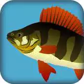 Free play online Perch Reality APK