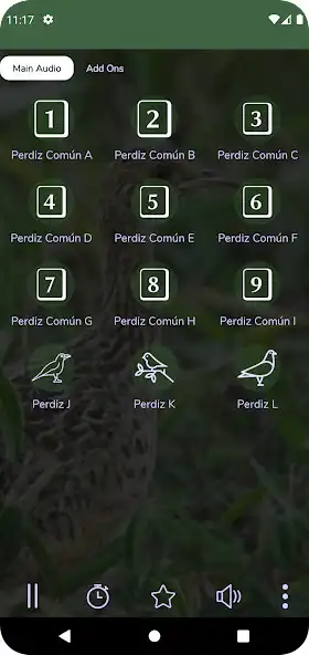 Play Perdiz Común Cantando  and enjoy Perdiz Común Cantando with UptoPlay