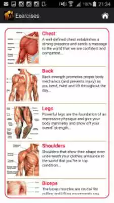 Play Perfect Body Building Plan