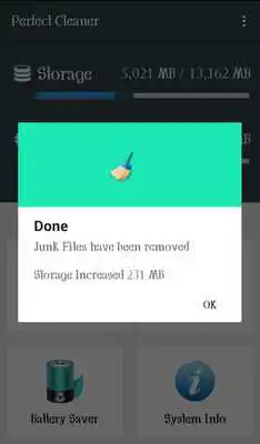 Play Perfect Cleaner Booster