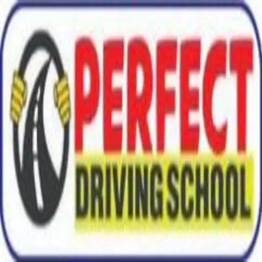 Play Perfect Driving School APK