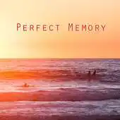 Free play online PerfectMemory Camera APK Free play online PerfectMemory Camera APK