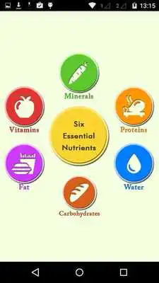 Play Perfect Nutrients