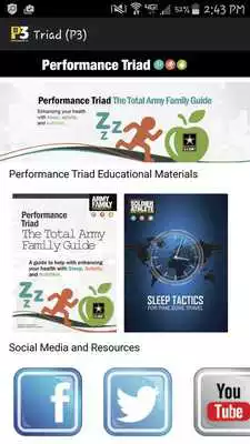 Play Performance Triad (P3)