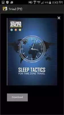 Play Performance Triad (P3)