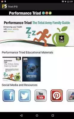 Play Performance Triad (P3)