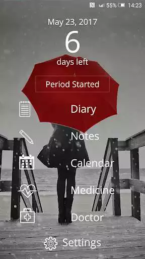 Play Period Diary Play Period Diary