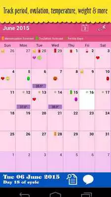 Play Period Log Calendar