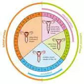 Free play online Period Menstruation Calendar APK