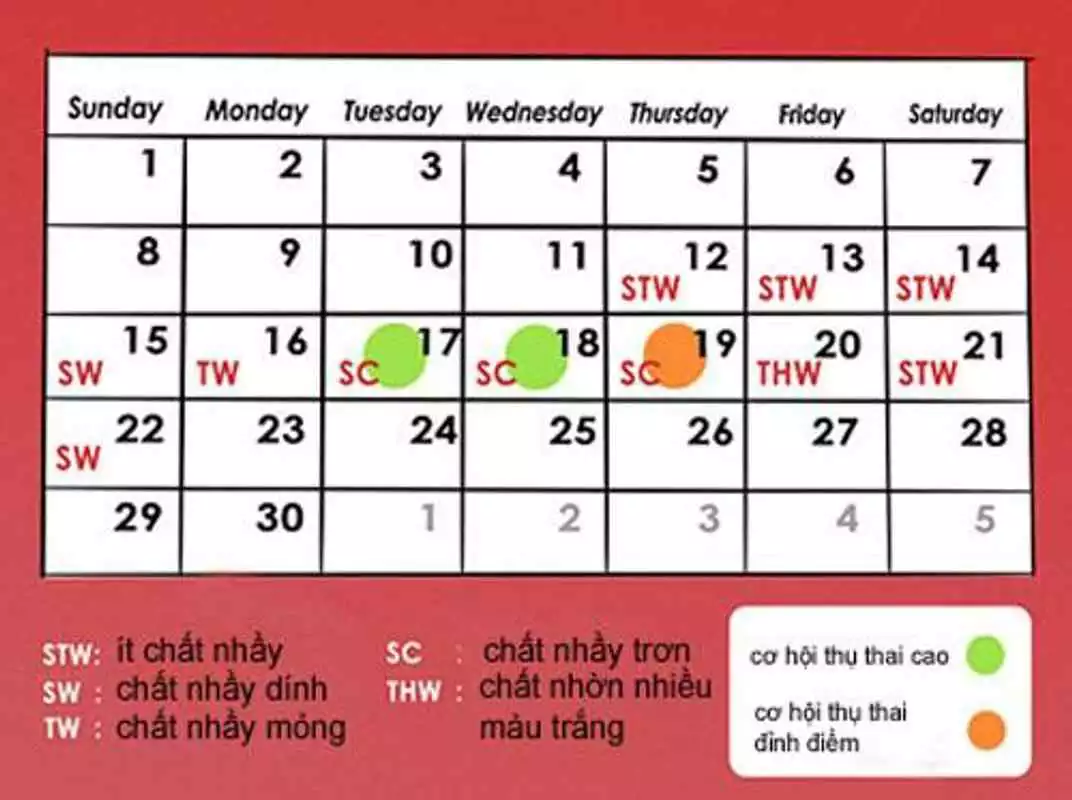 Play Period Menstruation Calendar