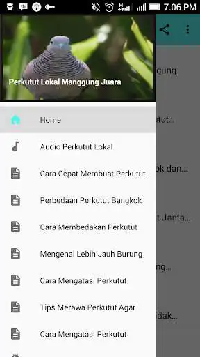 Play APK Perkutut Lokal Manggung Juara  and enjoy Perkutut Lokal Manggung Juara with UptoPlay com.hantoroApp.perkututlokalmanggungjuara