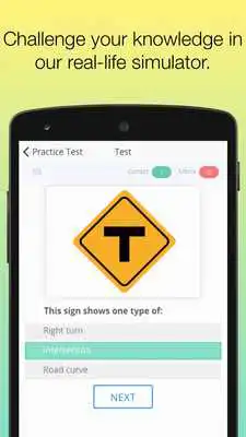 Play Permit Test Georgia GA DDS - Drivers License Test