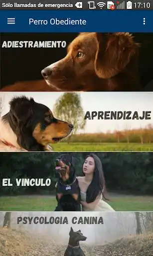 Play Perro Obediente Adiestrar y Educar a tu Perro and enjoy Perro Obediente Adiestrar y Educar a tu Perro with UptoPlay Play Perro Obediente Adiestrar y Educar a tu Perro and enjoy Perro Obediente Adiestrar y Educar a tu Perro with UptoPlay