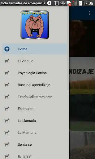 Play Perro Obediente Adiestrar y Educar a tu Perro as an online game online Perro Obediente Adiestrar y Educar a tu Perro with UptoPlay com.FMAMFreeradiosandrelevantcontent.PerroObedienteAdiestraryEducaratuPerro Play Perro Obediente Adiestrar y Educar a tu Perro as an online game Perro Obediente Adiestrar y Educar a tu Perro with UptoPlay