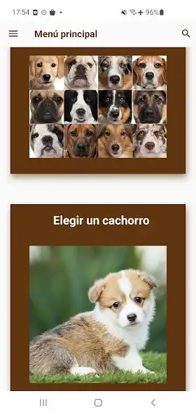 Play Perros. Zoogalaxy  and enjoy Perros. Zoogalaxy with UptoPlay