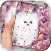 Free play online Persian white kitty furry APK