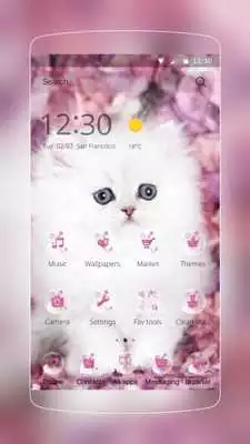 Play Persian white kitty furry