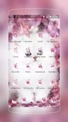 Play Persian white kitty furry