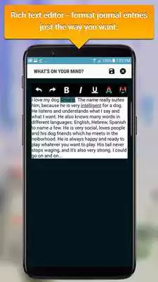 Play Personal Journal Play Personal Journal